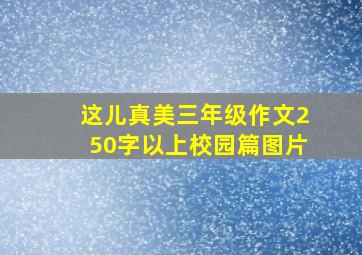 这儿真美三年级作文250字以上校园篇图片