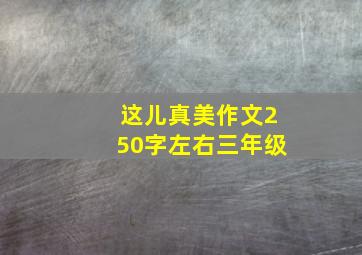 这儿真美作文250字左右三年级