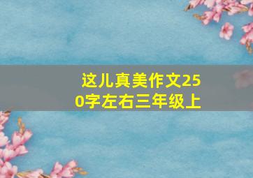 这儿真美作文250字左右三年级上