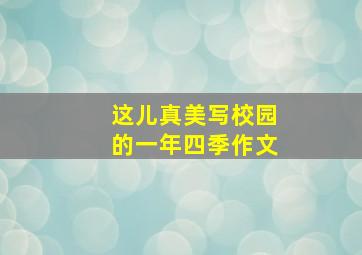 这儿真美写校园的一年四季作文