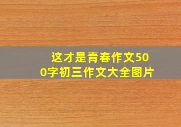 这才是青春作文500字初三作文大全图片