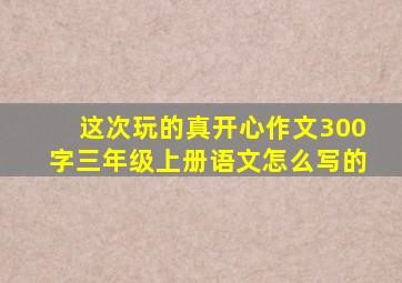 这次玩的真开心作文300字三年级上册语文怎么写的