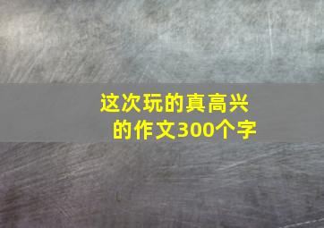 这次玩的真高兴的作文300个字