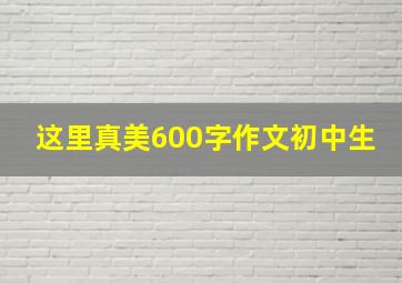 这里真美600字作文初中生