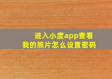 进入小度app查看我的照片怎么设置密码