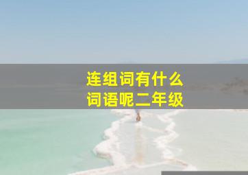 连组词有什么词语呢二年级