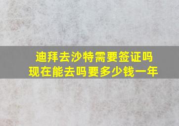 迪拜去沙特需要签证吗现在能去吗要多少钱一年