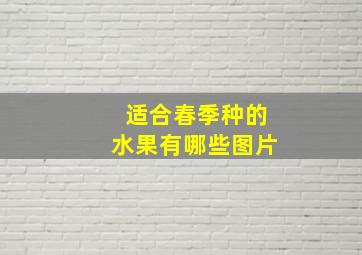 适合春季种的水果有哪些图片