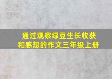 通过观察绿豆生长收获和感想的作文三年级上册