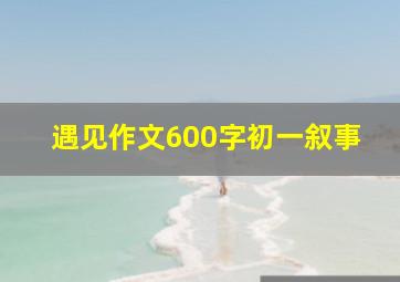 遇见作文600字初一叙事