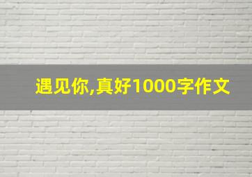 遇见你,真好1000字作文