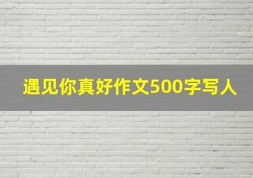 遇见你真好作文500字写人