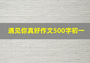 遇见你真好作文500字初一