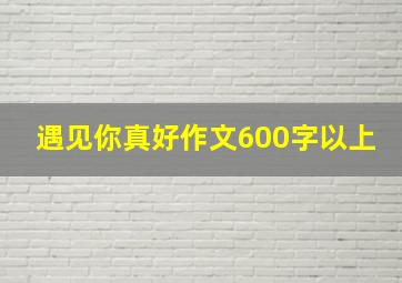 遇见你真好作文600字以上