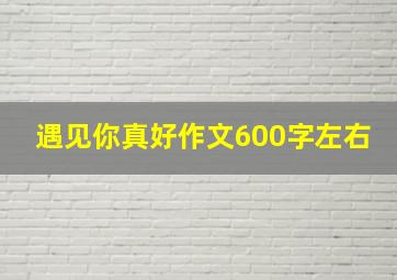 遇见你真好作文600字左右