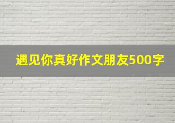 遇见你真好作文朋友500字