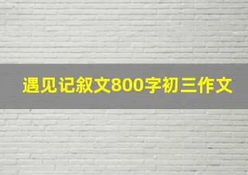 遇见记叙文800字初三作文