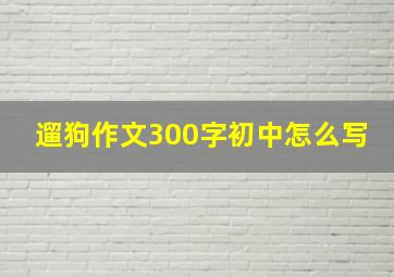 遛狗作文300字初中怎么写