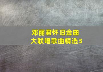 邓丽君怀旧金曲大联唱歌曲精选3