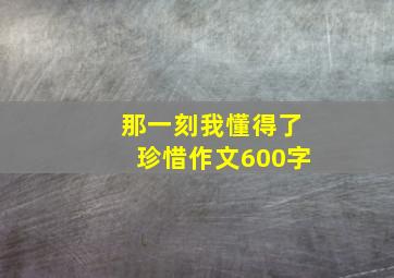 那一刻我懂得了珍惜作文600字