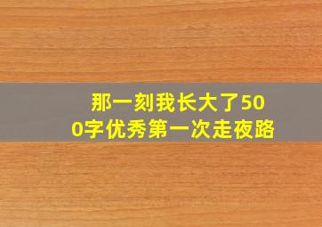 那一刻我长大了500字优秀第一次走夜路