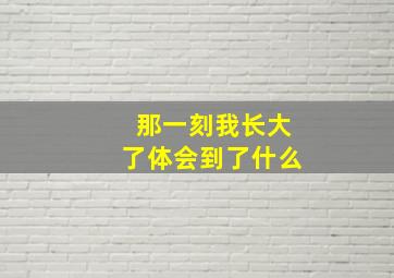 那一刻我长大了体会到了什么