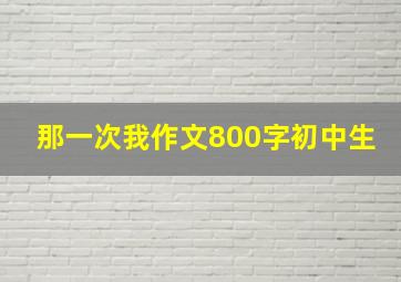 那一次我作文800字初中生