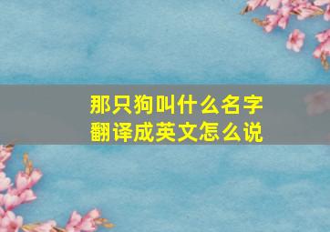 那只狗叫什么名字翻译成英文怎么说