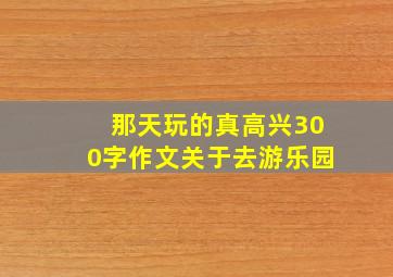 那天玩的真高兴300字作文关于去游乐园