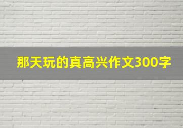 那天玩的真高兴作文300字