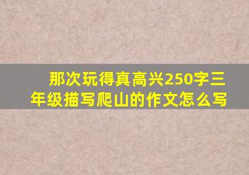 那次玩得真高兴250字三年级描写爬山的作文怎么写