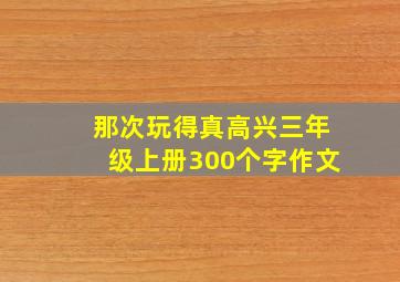 那次玩得真高兴三年级上册300个字作文