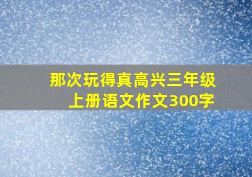 那次玩得真高兴三年级上册语文作文300字