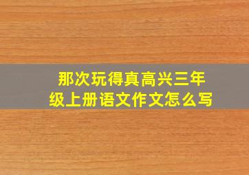 那次玩得真高兴三年级上册语文作文怎么写