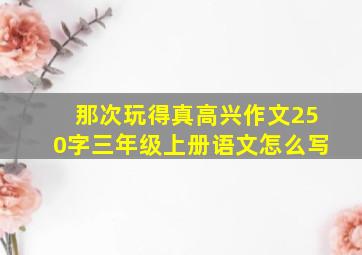 那次玩得真高兴作文250字三年级上册语文怎么写