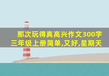 那次玩得真高兴作文300字三年级上册简单,又好,星期天