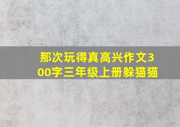 那次玩得真高兴作文300字三年级上册躲猫猫