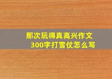 那次玩得真高兴作文300字打雪仗怎么写