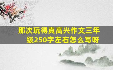 那次玩得真高兴作文三年级250字左右怎么写呀