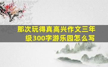 那次玩得真高兴作文三年级300字游乐园怎么写