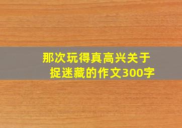 那次玩得真高兴关于捉迷藏的作文300字