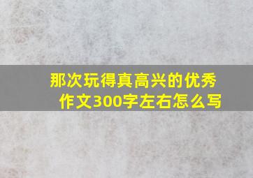 那次玩得真高兴的优秀作文300字左右怎么写