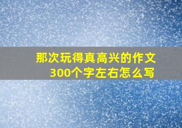 那次玩得真高兴的作文300个字左右怎么写