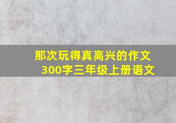 那次玩得真高兴的作文300字三年级上册语文