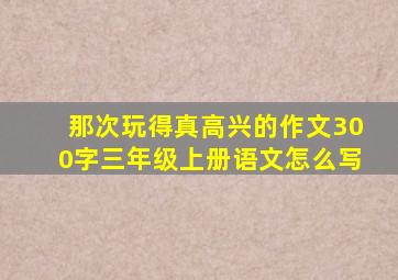 那次玩得真高兴的作文300字三年级上册语文怎么写