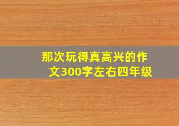 那次玩得真高兴的作文300字左右四年级