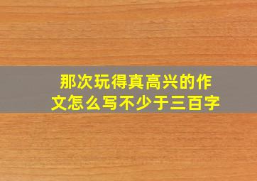 那次玩得真高兴的作文怎么写不少于三百字