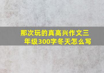 那次玩的真高兴作文三年级300字冬天怎么写