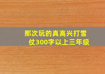 那次玩的真高兴打雪仗300字以上三年级