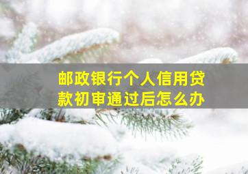 邮政银行个人信用贷款初审通过后怎么办